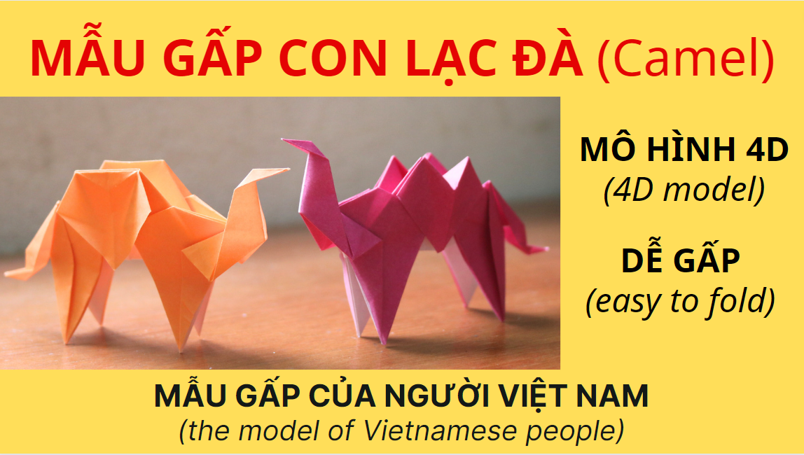 Video 17: Hướng dẫn gấp Mẫu gấp Con lạc đà (Camel)